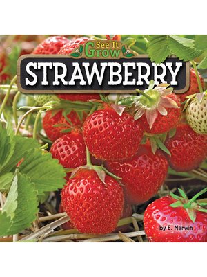 cover image of Strawberry